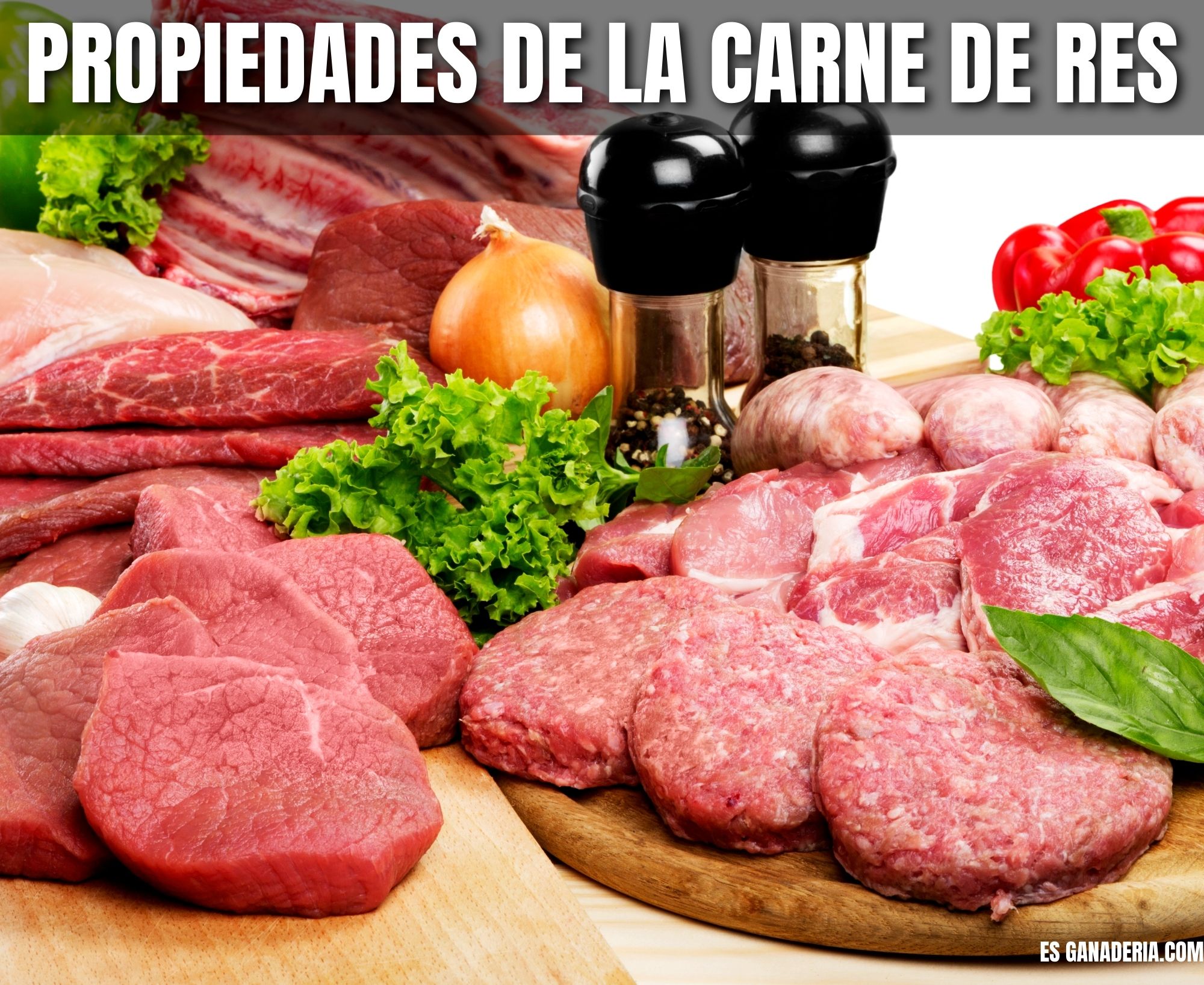 Descubriendo Las Propiedades Nutricionales De La Carne De Res Un Alimento Versátil Y Nutritivo 9459
